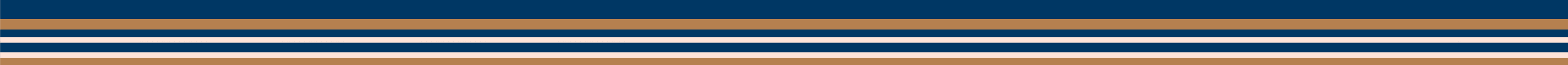 Section Divider
